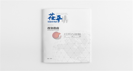 泰安茌平经济开发区画册设计